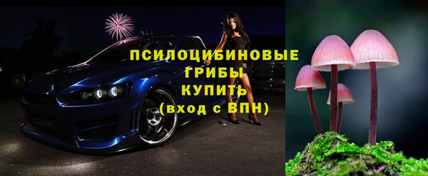 дурь Заводоуковск