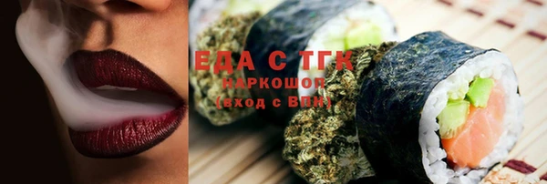 СК Ельня