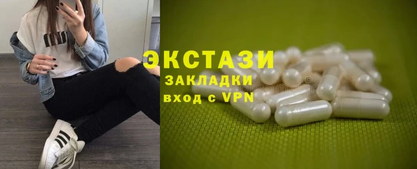 СК Ельня