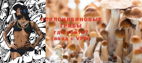 СК Ельня