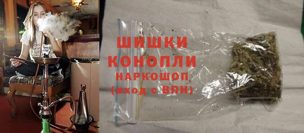 СК Ельня